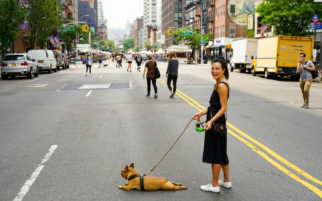 Chien tire en laisse : un seul exercice pour tout changer !