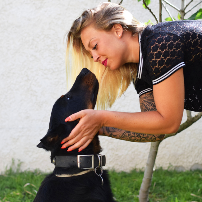 Dog control, éducateur canin à Pennes Mirabeau