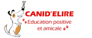 Canid’élire, Educateur canin à Marseille