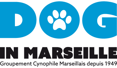 Dog in Marseille, éducateur canin à Marseille