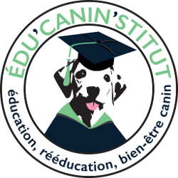 Edu’Canin’Stitut, éducateur canin à la Ciotat