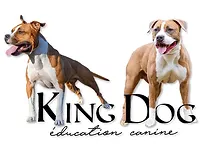 King Dog Marseille, éducateur canin certifié