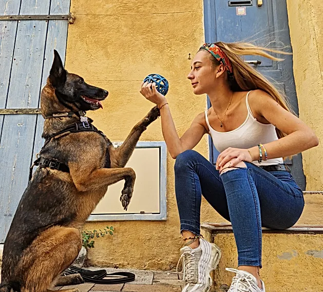 Hear, éducateur canin à Marseille