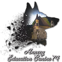 Éducateur Canin à Annecy : Franck Chanrion